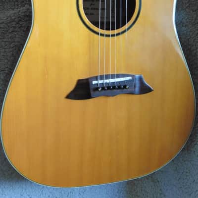 Low Action Vintage Kimbara Electro Acoustic image 5
