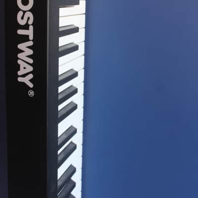 Costway dinamico 2023/2024 - nero image 2