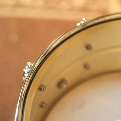 Pearl 14x5.5 Primal Brass Snare Drum - PSC1455B image 7