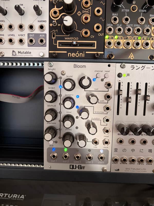 Qu-Bit Electronix Bloom