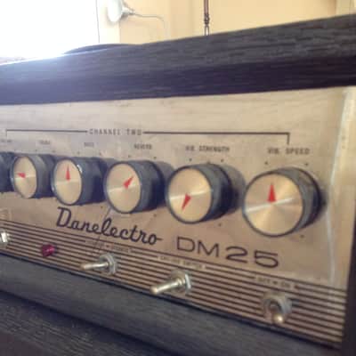 Danelectro DM-25 '66 25W 1x12" Reverb & Vibrato NEAR MINT image 2