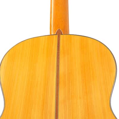 Luis Sanchez 2020  Blanca - spectacular sounding and nice looking flamenco guitar - check video! image 7