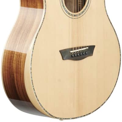 Washburn BTSC56SCE Bella Tono Series Allure SC56S Mahogany Neck 6-String Acoustic Electric Guitar image 1