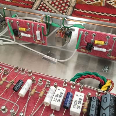 Trinity TripTop (Ampeg B-15 Clone) image 11