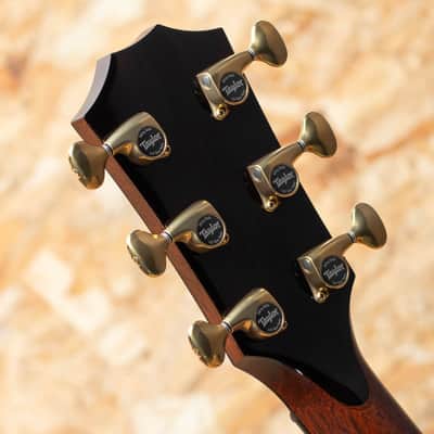 Taylor 914ce LTD 2024 image 9