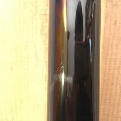 Washburn Standard Idol Series WINSTD/TSB Singlecut Electric Guitar Tobacco Sunburst image 17