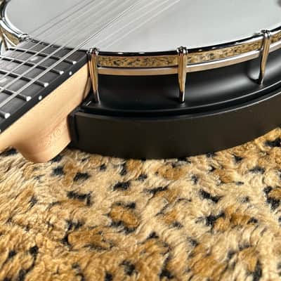Gold Tone AC-6+ 6-String Acoustic-Electric Banjo Natural 2025 image 21