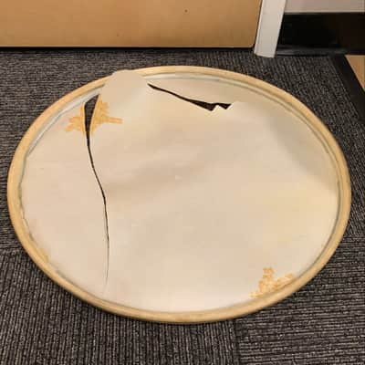 Set of 4 - Vintage Slingerland 22" & 28" Calfskin Bass Drum Heads (Rm3) image 10