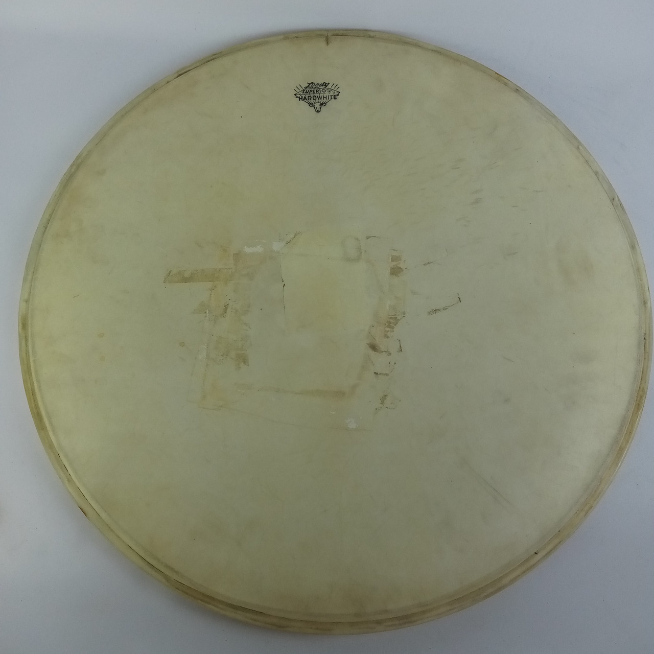 Leedy "Superior Hardwhite" Calfskin 22"Bass Drum Head Vintage 30s-40s Batter USA — main photograph