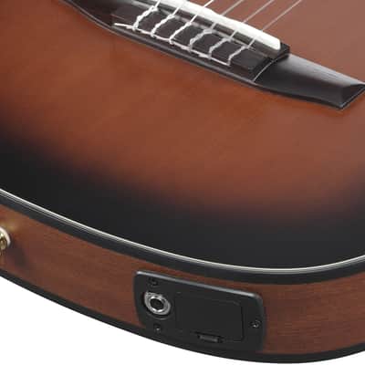 Ibanez FRH10NBSF, Thinline Nylon Acoustic Electric Guitar - Brown Sunburst image 12