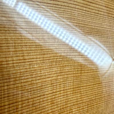 2017 Taylor Custom Grand Auditorium - Dark Cedar + Cocobolo image 18