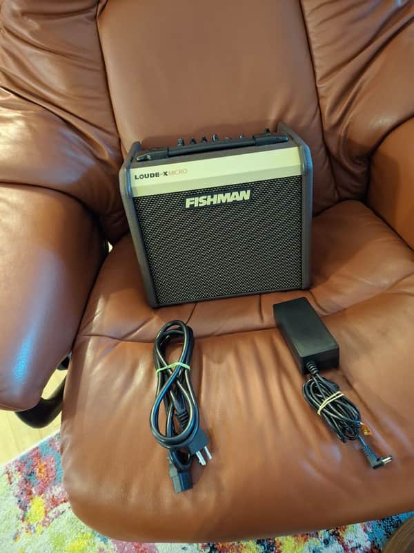 Fishman Loudbox Micro 2-Channel 40-Watt 1x5.25" Acoustic Guitar Combo 2023 - Present - Brown image 1