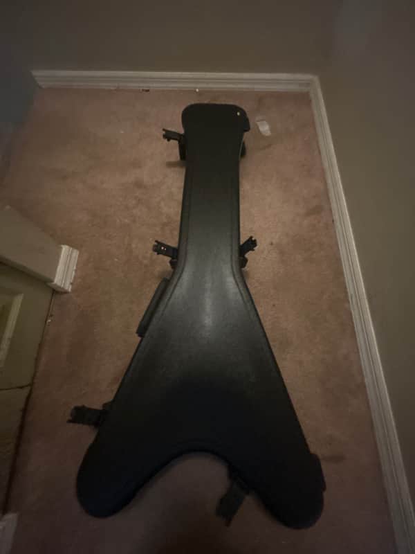 SKB flying v case image 1