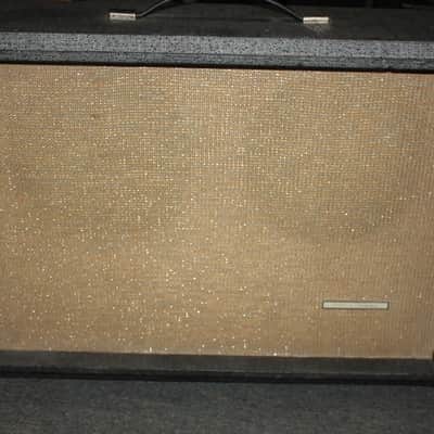 Silvertone - Sears Twin Twelve with Model 1484 Amp & Cabinet image 2