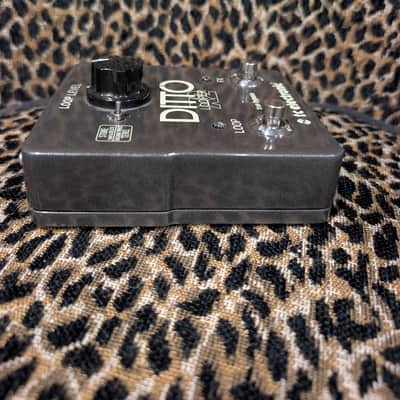 TC Electronic Ditto X2 Looper 2014 - Present - Black Bild 5