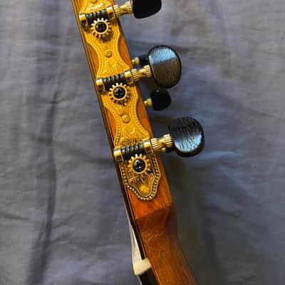 2022 Yulong Guo Hauser model / Spruce Top + HumiCase image 13