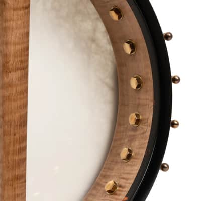 OME Wicklow Irish Tenor Banjo image 8