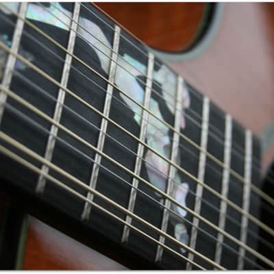 Taylor TAYLOR "Custom GS 12 Build to order LIMITED EDITION" (SECOND HAND) image 13