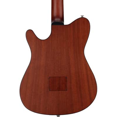 Ibanez FRH10N Classical Acoustic-Electric Guitar, Rose Gold Metallic image 8