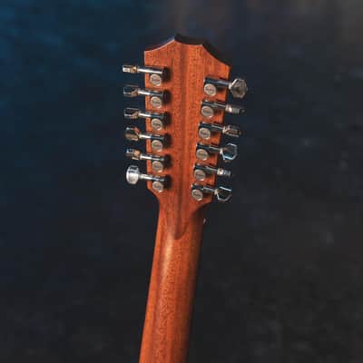 Immagine TAYLOR 12-STRING 360E W/CASE - 4