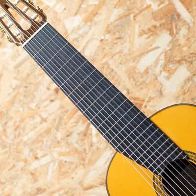 Kohno Masaru Professional 10Strings image 6