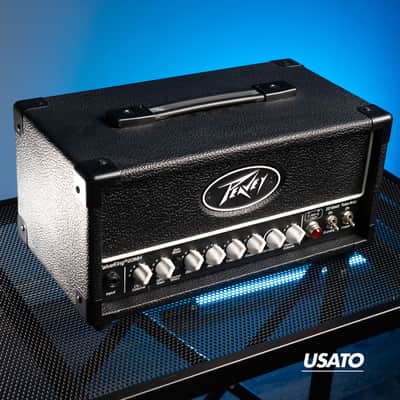 Immagine Peavey Valveking 20 Mh - 2