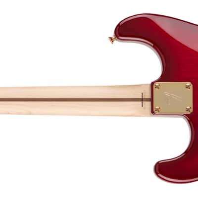Fender Richie Kotzen Stratocaster Maple Fingerboard - Transparent Red Burst image 4
