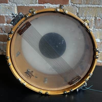 Premier 75th Anniversary Signia 14x5.5" 10-Lug Maple Snare Drum with Wood Hoops, Gold Hardware - Natural image 2