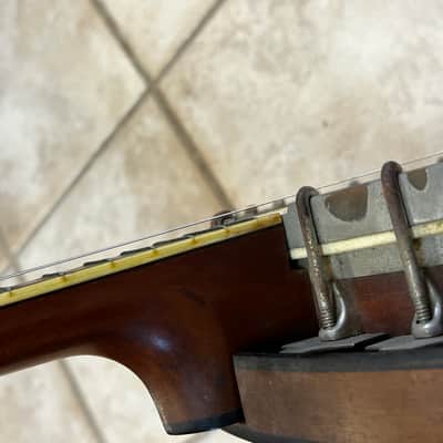 Immagine 1924 Vega Senator Plectrum 4-String Banjo - 21