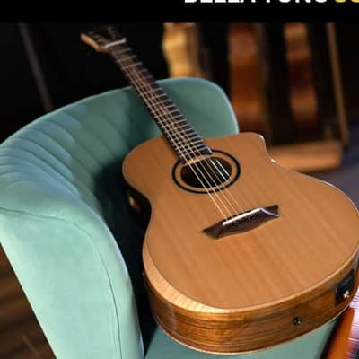 Washburn BTSC40SCE Bella Tono Studio Acoustic Electric Guitar Cutaway image 15