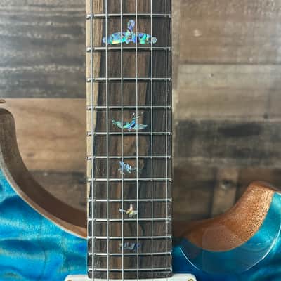 PRS Wood Library DGT, David Grissom Signature, Electric Guitar, Quilt 10 Top, Aquableaux Finish, PRS Paisley Case, 559 image 12