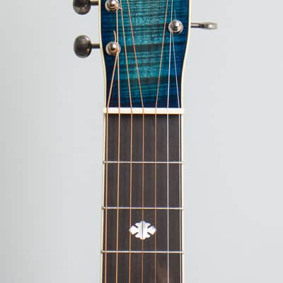 Beard E Odyssey 7-string Resophonic Guitar (2017), ser. #110207, original black tolex hard shell case. image 5