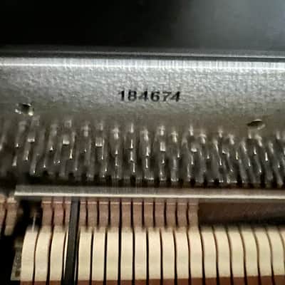 C. Bechstein P-126 W.Hoffmann w/VARIO 2024 - Polished Ebony image 2