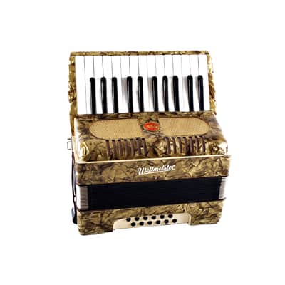 Immagine Vintage, Rare, German Made, Top Quality Accordion Weltmeister - 12 bass + Original Hard Case & Straps - from the Golden Era - 21