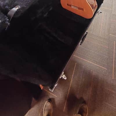 Road Runner RRGS5 5 Guitar Stand Case image 4