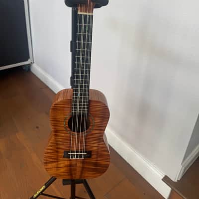 Island Ukuleles and Guitars of Kauai Custom Made 6 Strings 2010s - Koa image 8