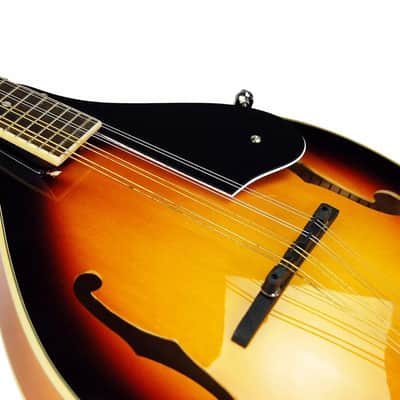 Washburn M1S Americana Series Solid Spruce Top A-Style Maple Back & Sides Mandolin - Gloss Sunburst image 2