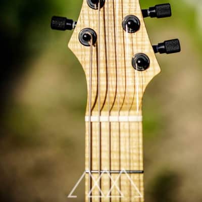 Vergnaud Bariton Djent'o'Caster 2020 (Grey Smoke Purple) image 17
