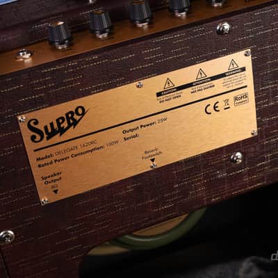 Supro Delegate Custom Combo Bild 6