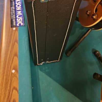 Road Runner 3 Guitar Stand Case image 1