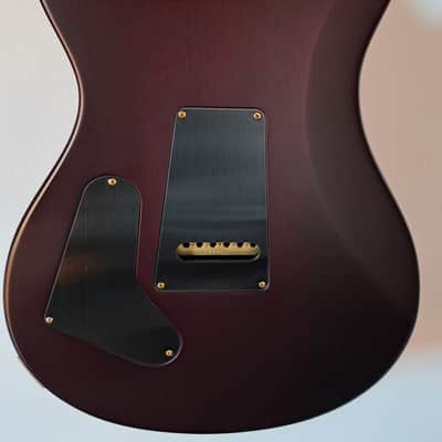 PRS Custom 24 Wood Library Ten Top Fire Red Burst 2017 - Fire Red Burst image 11