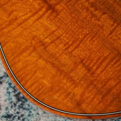 Knaggs Kenai - Amber image 15