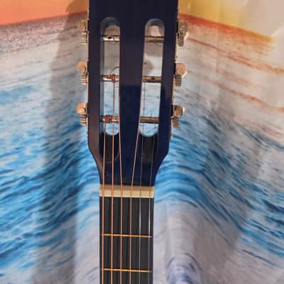 Ashthorpe B24 2025 - Blue blackburst image 3