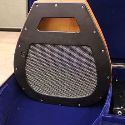Georg Bolin Tonbord Acoustic Amplifier image 2