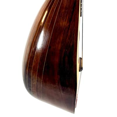 Neapolitan Mandolin G. Kasermann Style 1920's image 6