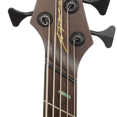 Dingwall Custom ABZ 5 Natural to Blue Burst QM image 5