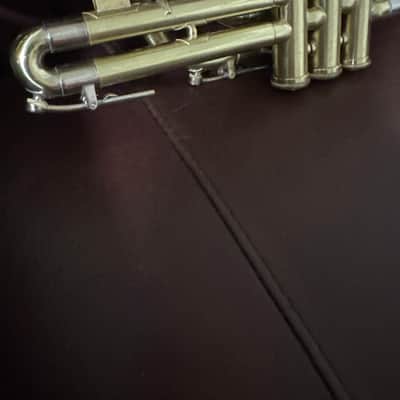 Olds Ambassador Bb Cornet (1955) SN 171426 (100% new clear lacquer) image 3