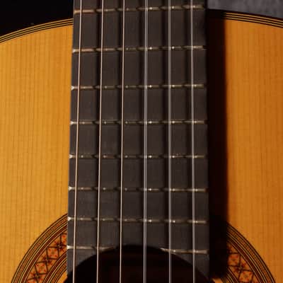 Yamaha GC-30 Grand Concert Classical Acoustic 1989 image 19