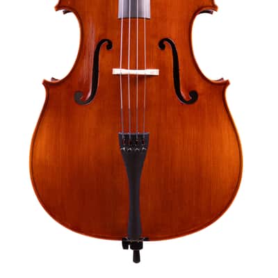 Testore Cello 4/4 from One Piece Back – Hand-Made in Romania 2025 #76 image 2