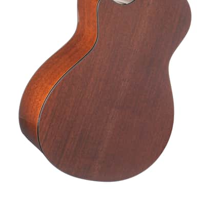 Taylor 552CE 2017 12-string Guitar #1112156007 image 7